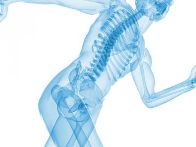 Image result for strengthen bones